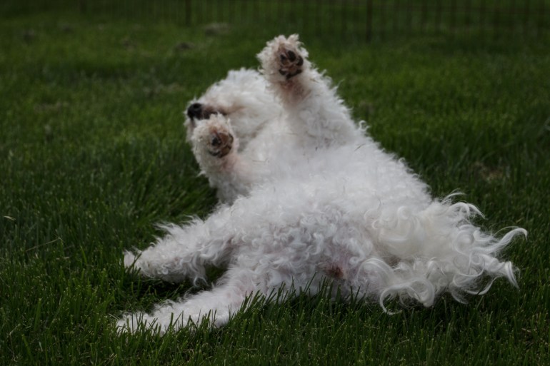 Teddy not giving a fuck